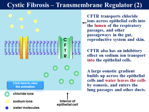 .1 Recombinant DNA Technology - 3 (Gene Therapy) | Teaching Resources