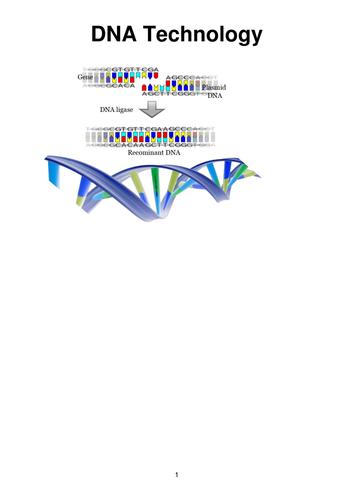 DNA Technology;  Gene cloning and transfer: PowerPoint and Booklet for A Level Biology
