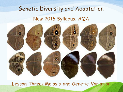 New AQA (2016) Year 1 Biology (AS) - Meiosis and Genetic Variation - Flipped Learning