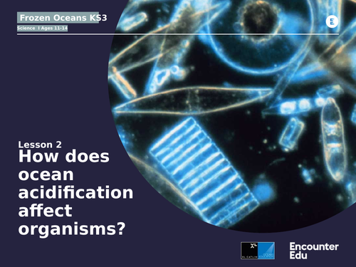 How does ocean acidification affect organisms? KS3 Science | Teaching