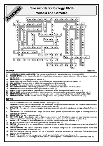 New 212-89 Test Format