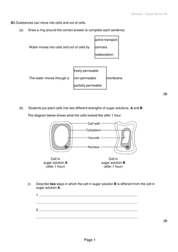 Cell Biology unit - AQA - NEW GCSE 2016 | Teaching Resources