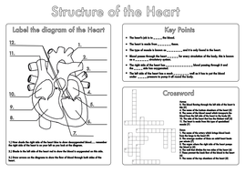 Printables Biology Worksheets Pdf biology worksheets pdf davezan gcse heart and lung structure by beckystoke