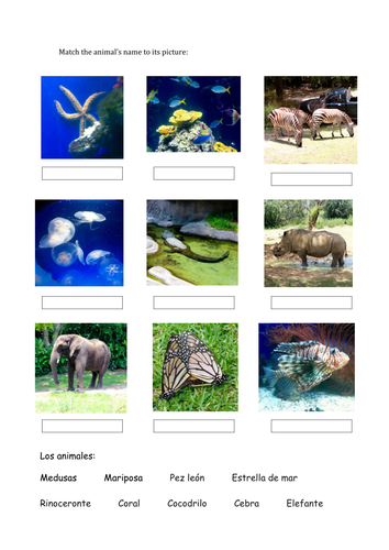 Spanish vocabulary animals