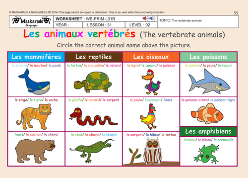 Farm animals in French – vocabulary 27 