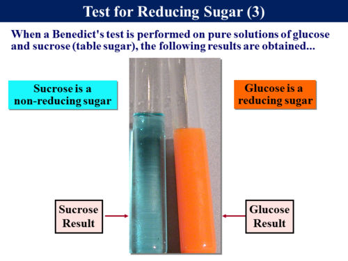 1.1 Fats, Proteins & Carbohydrates | Teaching Resources
