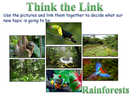 Lesson 1 Location of the Tropical Rainforests | Teaching Resources