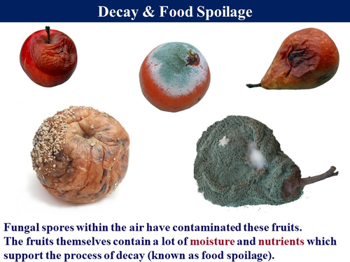 Food_3.4 Food Spoilage & Preservation | Teaching Resources