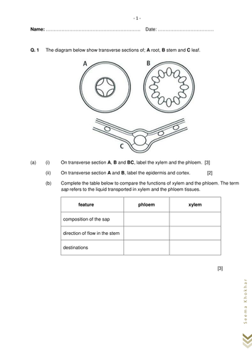 docx, 434.41 KB