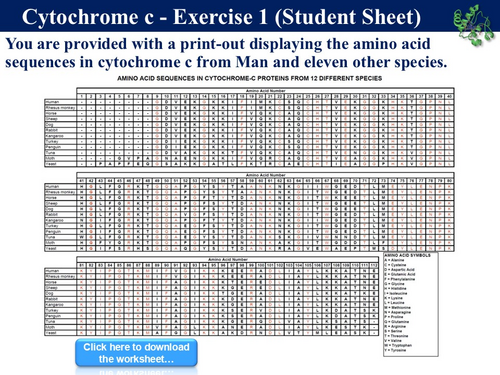 JPG, 277.75 KB