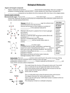 Biological Molecules - Worksheet | Teaching Resources