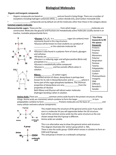 biological-molecules-worksheet-teaching-resources
