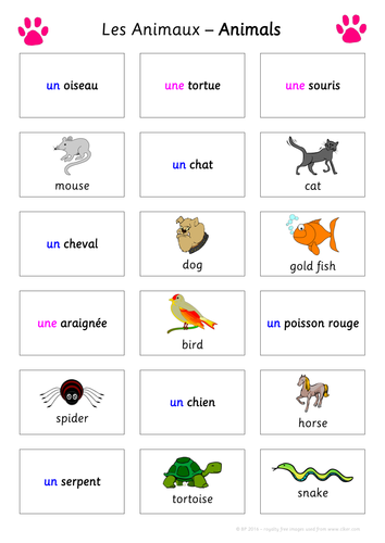 FUN Match-Up/Translate Activity - Les Animaux (Animals/Pets) - KS2 or KS3 French MFL