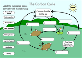 Printables Carbon Cycle Worksheets gcse carbon cycle worksheets and a3 wall posters by beckystoke diagram a4 poster colour