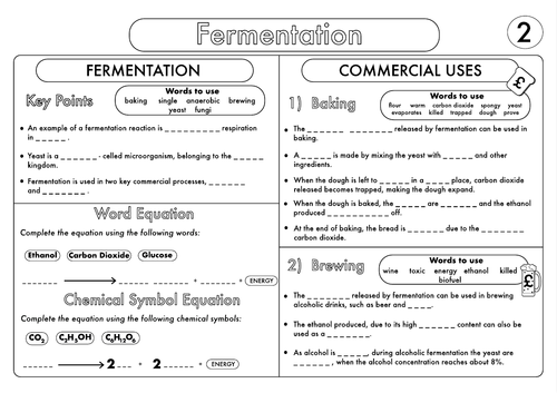 gcse biology respiration worksheet pack updated teaching resources