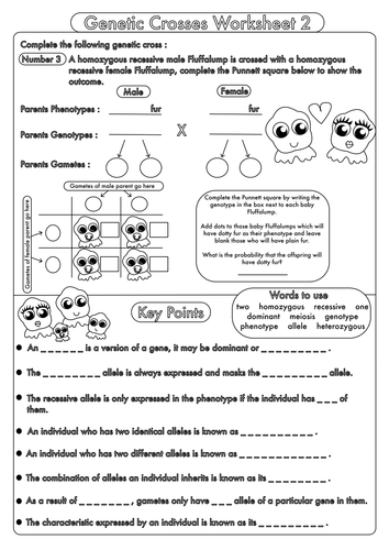 Worksheet High School Biology Worksheets Pdf high school biology inheritance and genetic crosses by beckystoke gcse worksheet 2 pdf