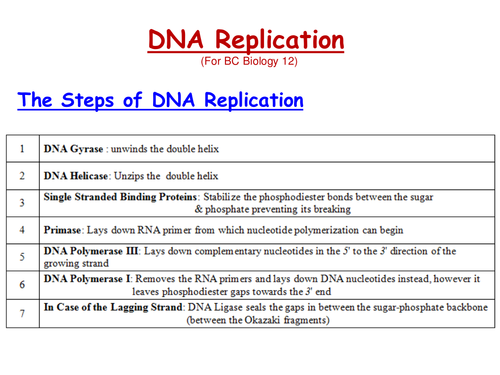 DNA Replication & Recombinant DNA | Teaching Resources