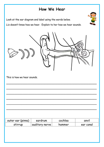 Sounds: Activity Cards, Vocabulary Cards,Worksheets, PowerPoint ...