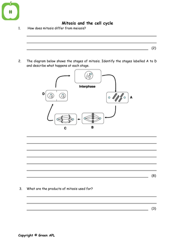 a level biology revision year 1 teaching resources