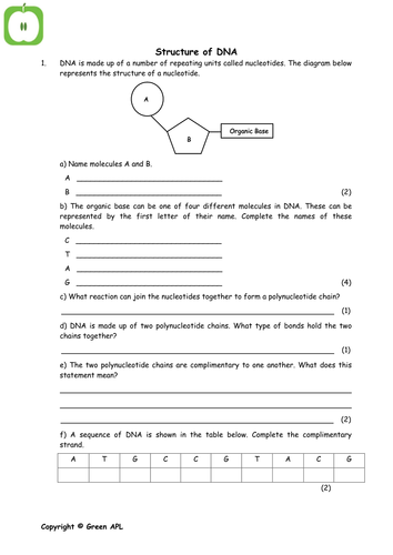 A level Biology revision (year 1) | Teaching Resources