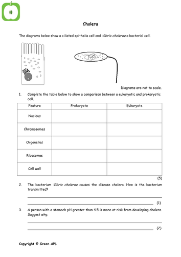 A level Biology revision (year 1) | Teaching Resources