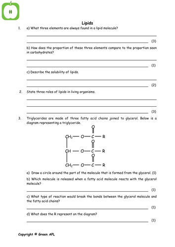 A level Biology revision (year 1) | Teaching Resources