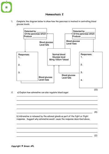 32 Review Over Glucose Metabolism Worksheet Answers - Free Worksheet