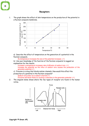 pdf, 49.42 KB