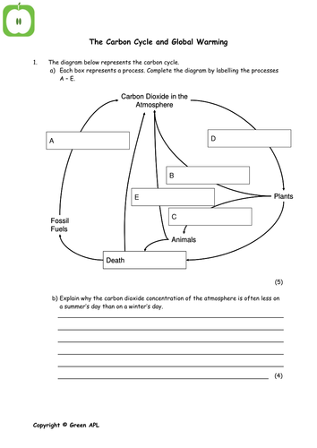 Worksheets Biology Worksheets Pdf biology revision worksheets covering year 2a2 by carbon cycle pdf