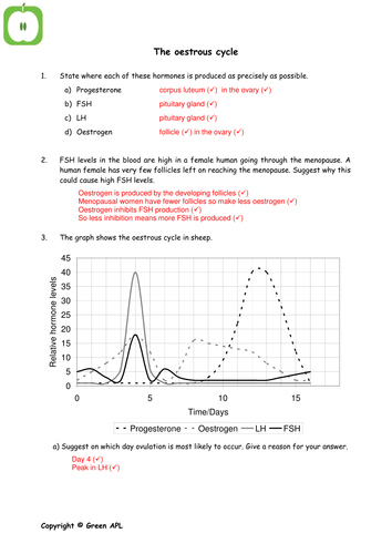 pdf, 53.63 KB