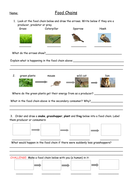 Food Chains Full Lesson with Worksheets, Plan and Food Web Extension ...