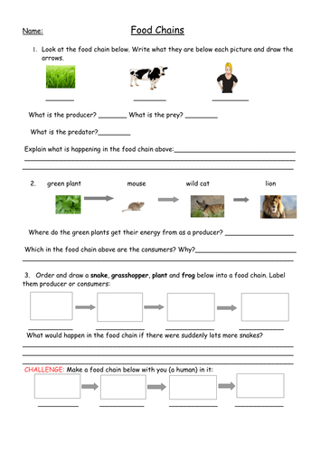 food chain printable templates