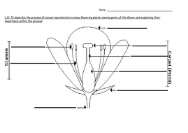 Reproduction in Plants and Animals Planning and Worksheets | Teaching ...