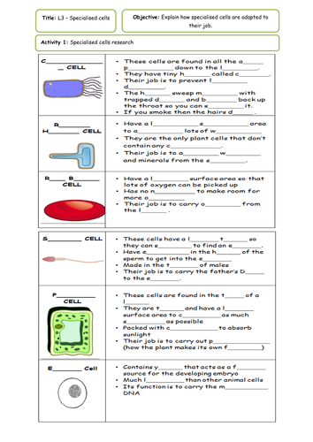 NEW KS4 AQA - Cells topic - LOW/MID ability by MJD33 - Teaching