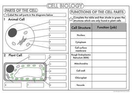 GCSE Biology: Cell Biology Worksheet Pack UPDATED | Teaching Resources