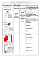 gcse biology cell biology worksheet pack updated teaching resources