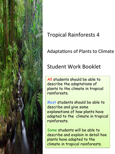 Tropical Rainforests: 4 Plant Adaptations. KS3 and KS4