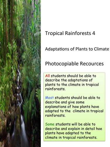 Tropical Rainforests 4 Plant Adaptations Ks3 And Ks4 Teaching Resources