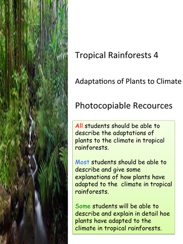Tropical Rainforests: 4 Plant Adaptations. KS3 and KS4