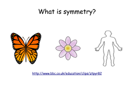Symmetry in Shapes Lesson with Worksheets (Year 2/3) by megaalex66