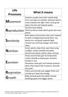 Living Things and their Habitats Planning, Resources and Worksheets