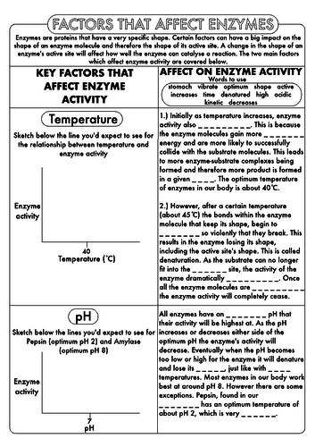 pdf, 446.24 KB