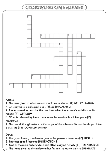 33 Enzyme Review Worksheet Answers - Worksheet Resource Plans