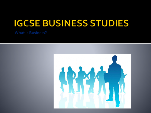 Introduction to Business Studies