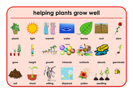 Helping plants grow well homework image