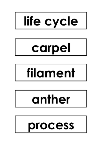 Life Cycles - Games and Activities Supporting Scientific Vocabulary ...
