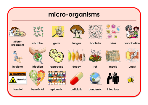 Micro-organisms - Games and Activities Supporting Scientific Vocabulary