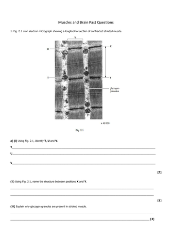 docx, 948.94 KB