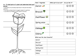 year 1 plants and growing unit science teaching resources