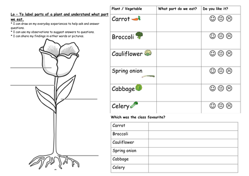 year 1 plants and growing unit science by keiramccosh